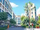 exploring-cyprus-university-in-frankfurt-everything-you-need-to-know